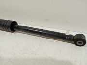 Stoßdämpfer Links Hinten Nissan Micra (K14) Schrägheck 1.0 IG-T 100 (HR10DET(H4D)) 2020