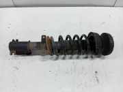 Federbein Rechts Vorne Nissan Primastar Van 2.0 dCi 120 (M9R-782) 2011-04