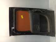 Tür Rechts Hinten Fiat Doblo Cargo (263) Van 1.3 D Multijet (263.A.2000) 2015