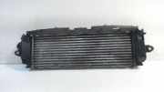 Ladeluftkühler Radiator Renault Trafic New (FL) Van 2.0 dCi 16V 90 (M9R-780) 2007-01