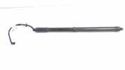 Gasdruckfeder Links Hinten Hyundai Santa Fe III (DM) SUV 2.2 CRDi R 16V 4x4 (D4HB) 2014-12