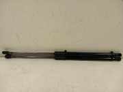 Gasdruckfedern Set Hinten 904508213R Renault Clio V (RJAB) Schrägheck 5-drs 1.0 TCe 100 12V (H4D-450(H4D-B4)) 2020-12