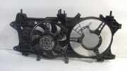 Kühlerventilatormotor M17000100 Fiat Doblo Cargo (223) Van 1.3 D 16V Multijet (199.A.2000) 2007