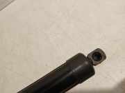 Gasdruckfeder Links Hinten 32357573 Volvo XC40 (XZ) SUV 1.5 T5 Plug-in Hybrid 16V (B3154T5) 2022-05