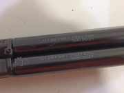 Gasdruckfedern Set Hinten 7537226 BMW 3 serie Touring (E91) Kombi 318d 16V (N47-D20A) 2007-10