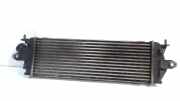 Ladeluftkühler Radiator 8200411160C Opel Vivaro Van 2.0 CDTI (M9R-692(M9R-F6)) 2012