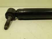 Stoßdämpfer Links Hinten Renault Scénic II (JM) Großraumlimousine 2.0 16V (F4R-770) 2008-08