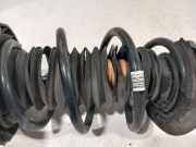 Federbein Links Vorne 31316861667 BMW X1 (F48) SUV sDrive 18i 1.5 12V TwinPower Turbo (B38-A15A) 2017-01