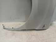 Kotflügel Links Vorne Hyundai H-300 Van 2.5 CRDi (D4CB) 2008