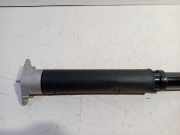 Stoßdämpfer Rechts Hinten L1TC18080FG Ford Puma SUV 1.0 Ti-VCT EcoBoost mHEV 12V (B7JB) 2024