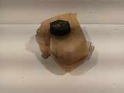 Kühlmittelbehälter V218K218 Ford EcoSport (JK8) SUV 1.0 EcoBoost 12V 125 (M1JC(Euro 5)) 2016-01