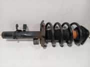 Federbein Links Vorne DV6118K001LC Ford Transit Connect (PJ2) Van 1.6 TDCi 16V 95 (TZGA(Euro 5)) 2016