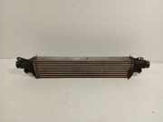 Ladeluftkühler Radiator 8E3951000 Hyundai i10 (F5) Schrägheck 1.1i 12V (G4HG) 2008