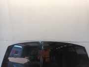 Motorhaube Dodge Caliber Schrägheck 2.0 16V (ECN) 2007