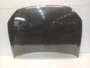 Motorhaube Volkswagen Polo V (6R) Schrägheck 1.2 12V (CGPB(Euro 5)) 2010-08 CGPB(Euro 5)