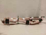 Vorhang Airbag Rechts P1TBA042D94AA Ford Puma SUV 1.0 Ti-VCT EcoBoost mHEV 12V (B7JB) 2024