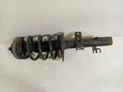 Federbein Links Vorne Volkswagen Transporter T5 Van 2.5 TDi 4Motion (BPC) 2007 BPC