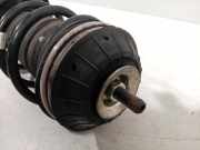 Federbein Links Vorne 00519265190 Fiat Panda/Pandina (312) Schrägheck 1.2 69 (169.A.4000) 2014