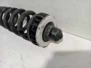 Spiralfeder Rechts Hinten BMW 3 serie Touring (G21) Kombi 330i 2.0 TwinPower Turbo 16V (B48-B20B) 2019