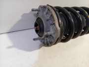 Federbein Links Vorne 50551258 Alfa Romeo Stelvio (949) SUV 2.0 T 16V Q4 (55273835) 2018