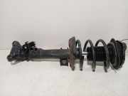 Federbein Links Vorne A2043206866 Mercedes-Benz C (W204) Limousine 6.2 C-63 AMG V8 32V (M156.985(Euro 5)) 2008-05
