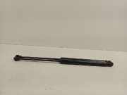 Gasdruckfeder Set Vorne 654700462R Renault Megane IV (RFBB) Schrägheck 5-drs 1.6 GT Energy TCe 205 EDC (M5M-450(M5M-B4)) 2016