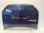 Motorhaube Volkswagen Polo V (6R) Schrägheck 1.2 TDI 12V BlueMotion (CFWA(Euro 5)) 2011-09 CFWA(Euro 5)