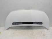 Motorhaube Citroën Jumpy (G9) Van 1.6 HDI 16V (DV6UTED4(9HU)) 2007