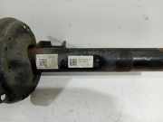 Federbein Links Vorne Skoda Octavia Kombi (5EAC) Kombi 5-drs 1.6 TDI Greenline 16V (CXXB) 2016-11