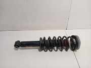 Federbein Rechts Hinten 6796317 BMW X3 (F25) SUV xDrive 20i 2.0 16V Twin Power Turbo (N20-B20A) 2020-06