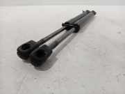 Gasdruckfeder Set Vorne 5123723923305 BMW 1 serie (F20) Schrägheck 5-drs 120i 1.6 16V (N13-B16A) 2012