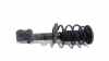 Federbein Links Vorne Cadillac BLS Limousine 1.9 TiD 16V (Z19DTH) 2006-03 Bild Federbein Links Vorne Cadillac BLS Limousine 1.9 TiD 16V (Z19DTH) 2006-03