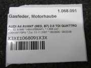 Gasfeder, Motorhaube AUDI A4 AVANT (8ED, B7) 2.0 TDI QUATTRO 125 KW