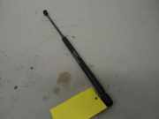 Gasdruckfeder Heckklappe 3-türer FIAT PUNTO (188_) 1.2 16V 80 59 KW 46744596