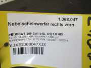 Nebelscheinwerfer rechts PEUGEOT 308 SW I (4E, 4H) 1.6 HDI 80 KW 9680498880