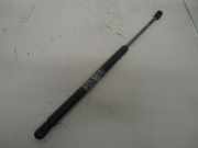 Gasdruckfeder Heckklappe 5-türer FIAT PUNTO (188_) 1.2 60 44 KW 6999MM0380N