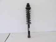 Federbein hinten VW POLO (6N1) 60 1.4 44 KW