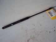 Gasfeder, Motorhaube FIAT STILO (192) 1.9 JTD 85 KW
