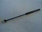 Gasfeder, Motorhaube BMW 3 (E36) 316I 73 KW 51231960852