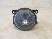 Nebelscheinwerfer links / rechts RENAULT MEGANE III SCHRÄGHECK (BZ0_) 1.4 TCE 96 KW 8200074008