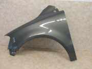 Kotflügel links Avocadogrün VW FOX (5Z1, 5Z3) 1.4 TDI 51 KW