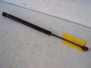 Gasdruckfeder Heckklappe RENAULT MEGANE II (BM0/1_, CM0/1_) 1.9 DCI 88 KW