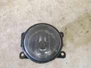 Nebelscheinwerfer links / rechts RENAULT LAGUNA III GRANDTOUR (KT0/1) 1.5 DCI 81 KW 8200074008