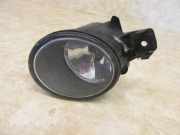 Nebelscheinwerfer links RENAULT CLIO III (BR0/1, CR0/1) 1.5 DCI 50 KW 8200002469