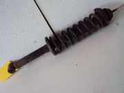 Federbein hinten SEAT IBIZA II (6K1) 1.4 16V 55 KW