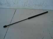 Gasfeder, Motorhaube SEAT TOLEDO II (1M2) 1.6 74 KW 1M0823359
