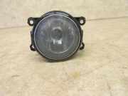 Nebelscheinwerfer rechts/links RENAULT MEGANE III GRANDTOUR (KZ0/1) 1.6 16V BI- 81 KW 8200074008