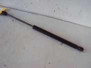 Gasfeder, Motorhaube RENAULT MEGANE II (BM0/1_, CM0/1_) 1.9 DCI 88 KW