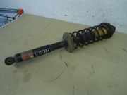 Federbein hinten VW GOLF III (1H1) 1.8 66 KW