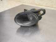 Nebelscheinwerfer links VW PASSAT VARIANT (3C5) 2.0 TDI 103 KW